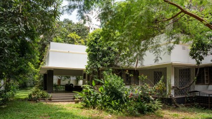 The lawn with fruit and flower trees